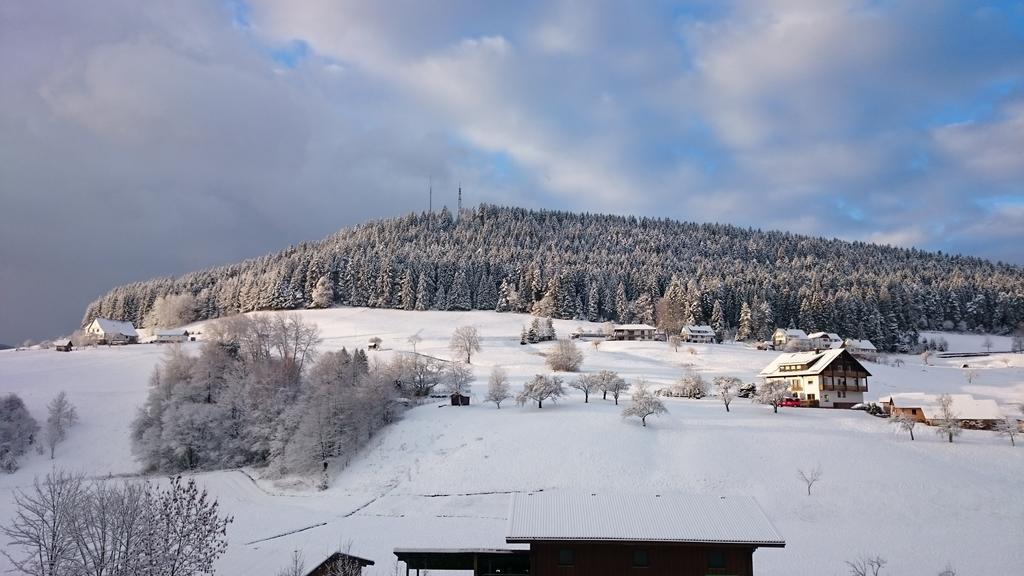 Apartament Waldblick Tonbach Baiersbronn Zewnętrze zdjęcie